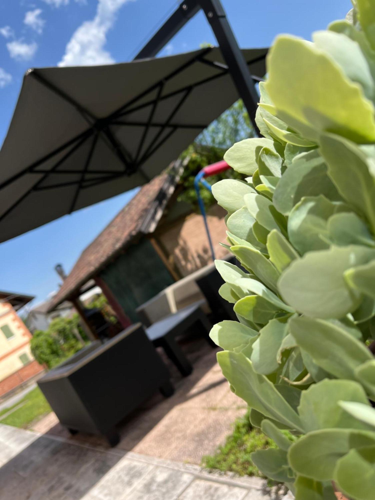 San Marcello Residence Feltre Exterior photo